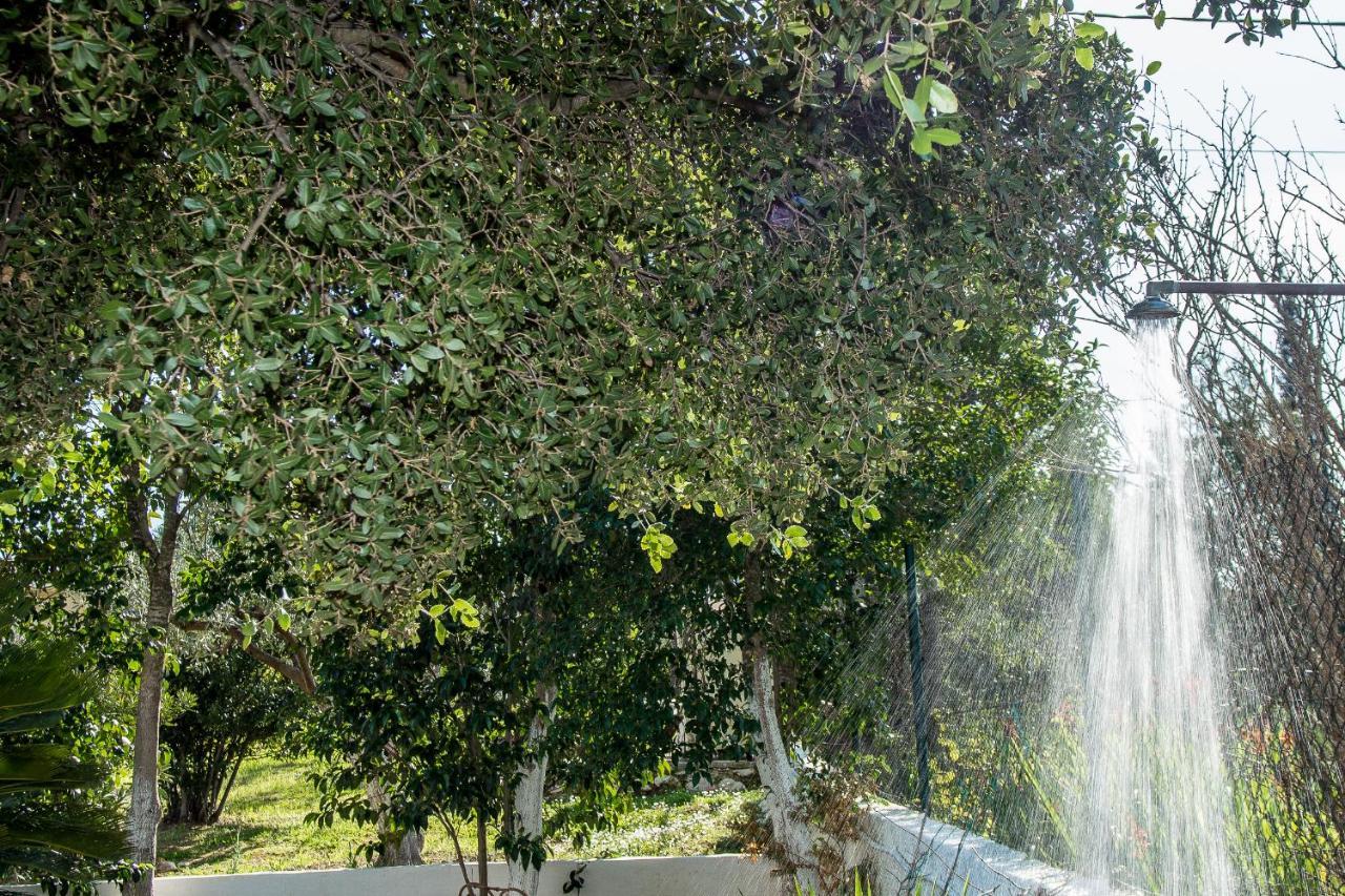 Villa Aelia - A Peaceful And Private Place อาร์กอสโตลี ภายนอก รูปภาพ